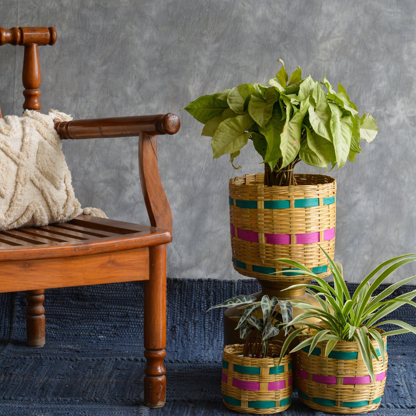 Bamboo Cane Indoor Planter