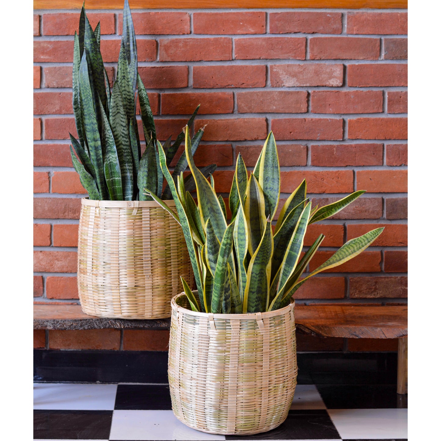 Large Indoor Bamboo Planter Basket (Pack of 2)