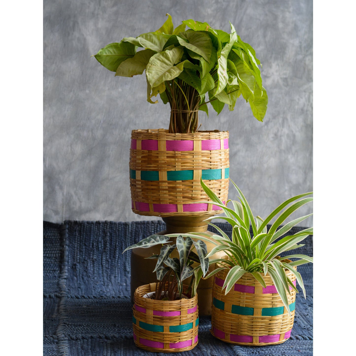 Bamboo Cane Indoor Planter Baskets