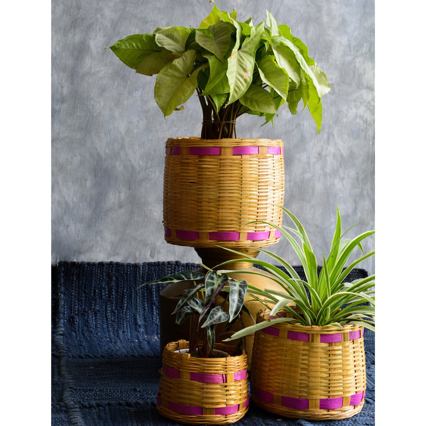 Handcrafted Indoor Bamboo Planter