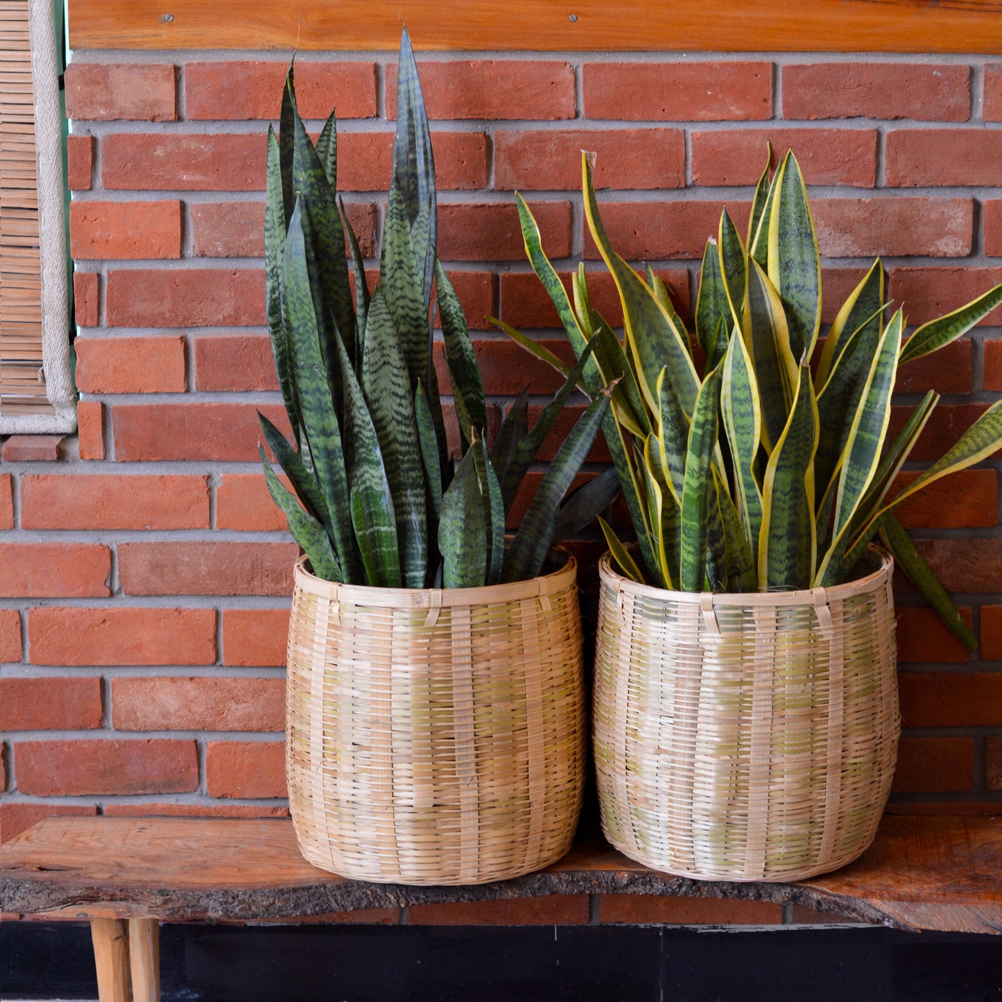 Large Indoor Bamboo Planter Basket