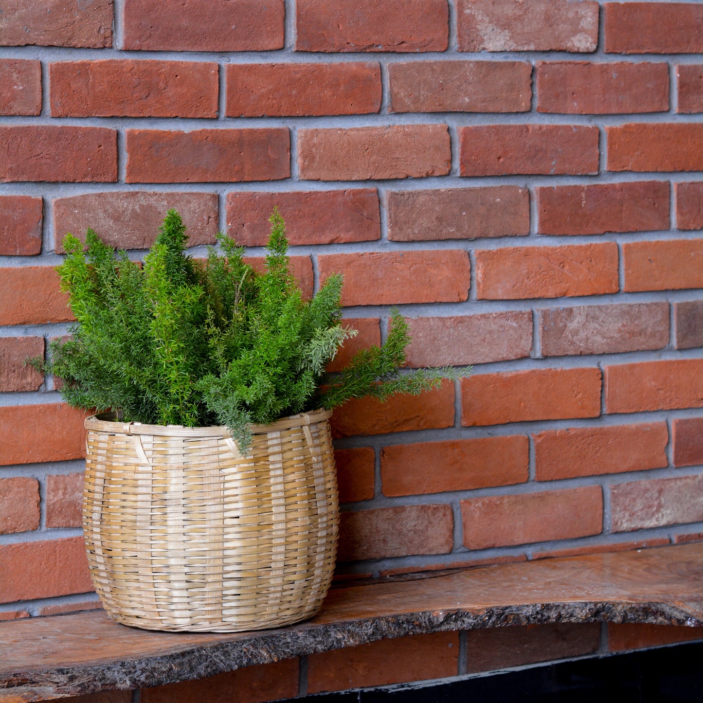 Small Bamboo Planter Basket for Indoor & Outdoor Use