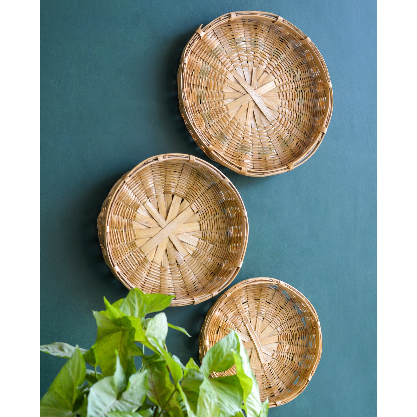 Wall Decor Bamboo Plate (Set of 3, Design 1)