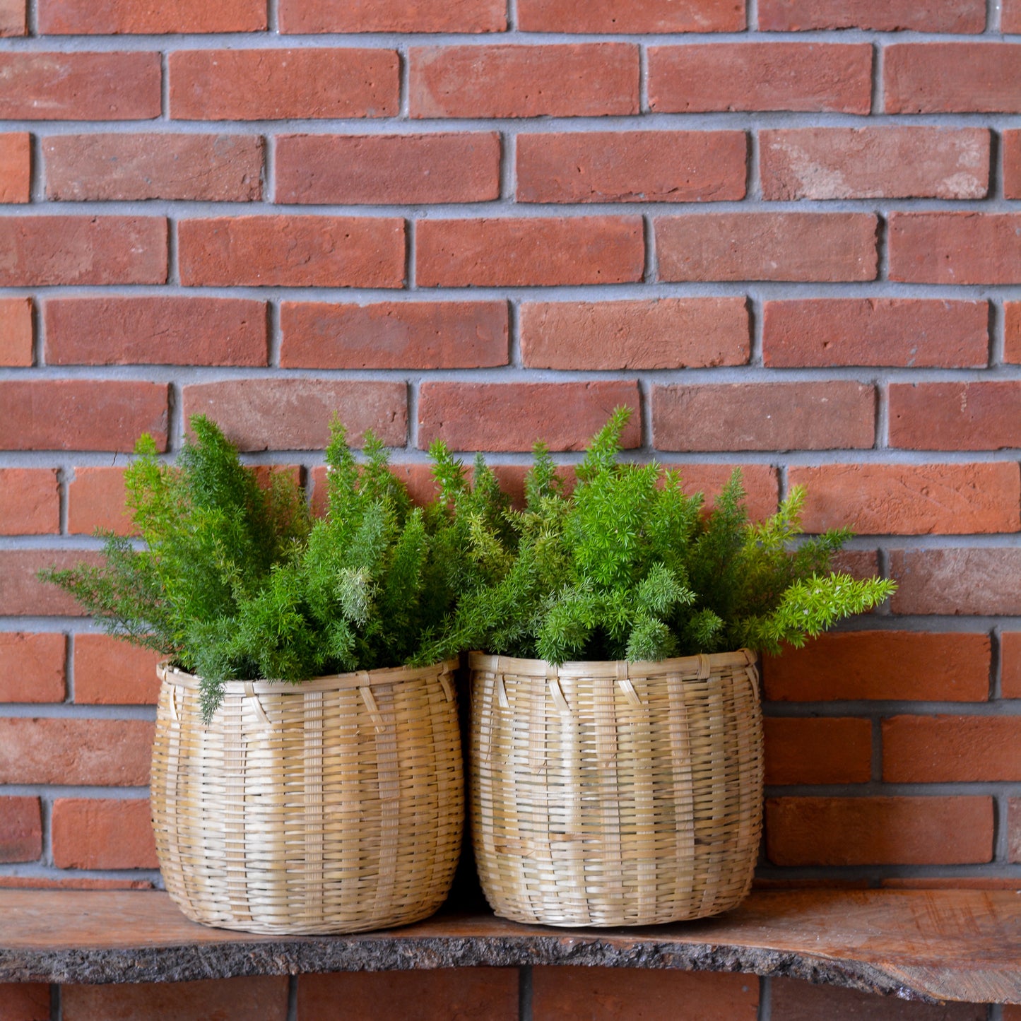 Small Bamboo Planter Basket for Indoor & Outdoor Use (Pack of 2)