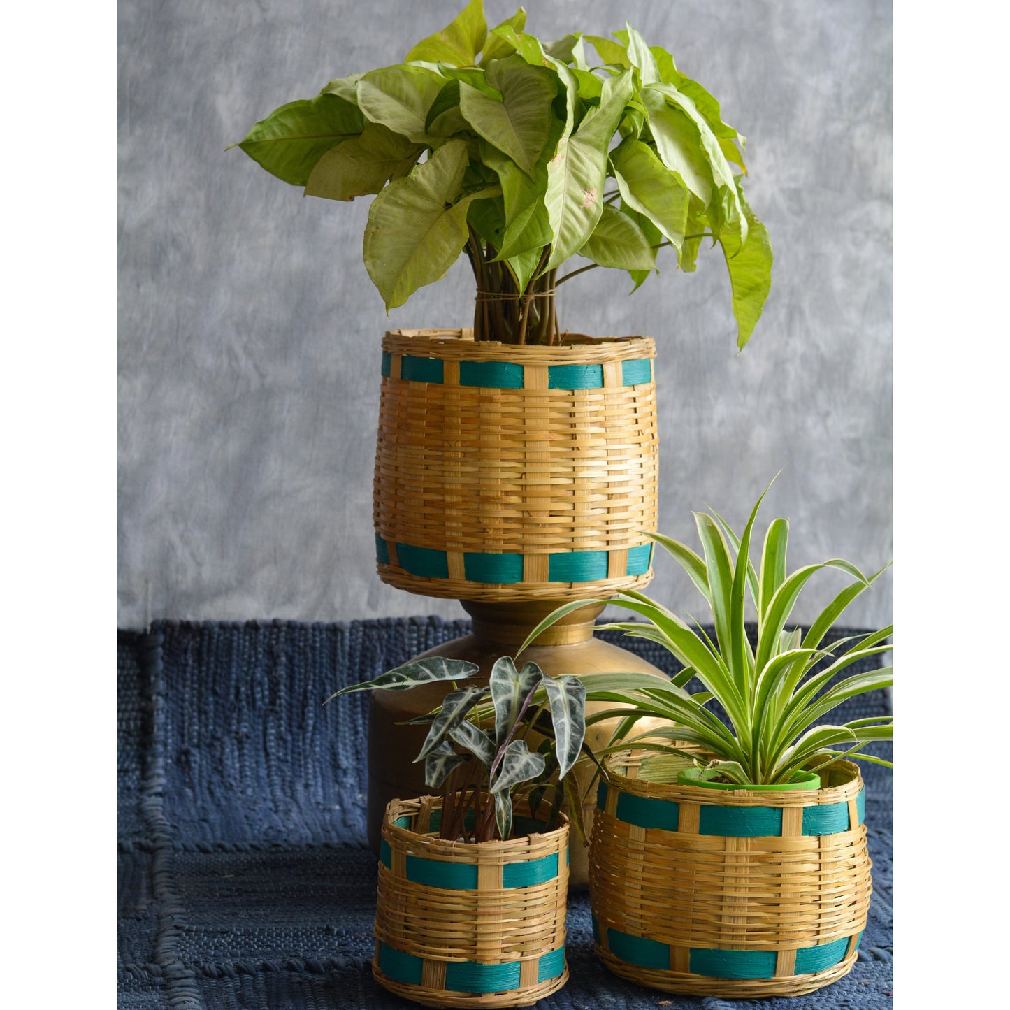 Bamboo Cane Indoor Planter Baskets