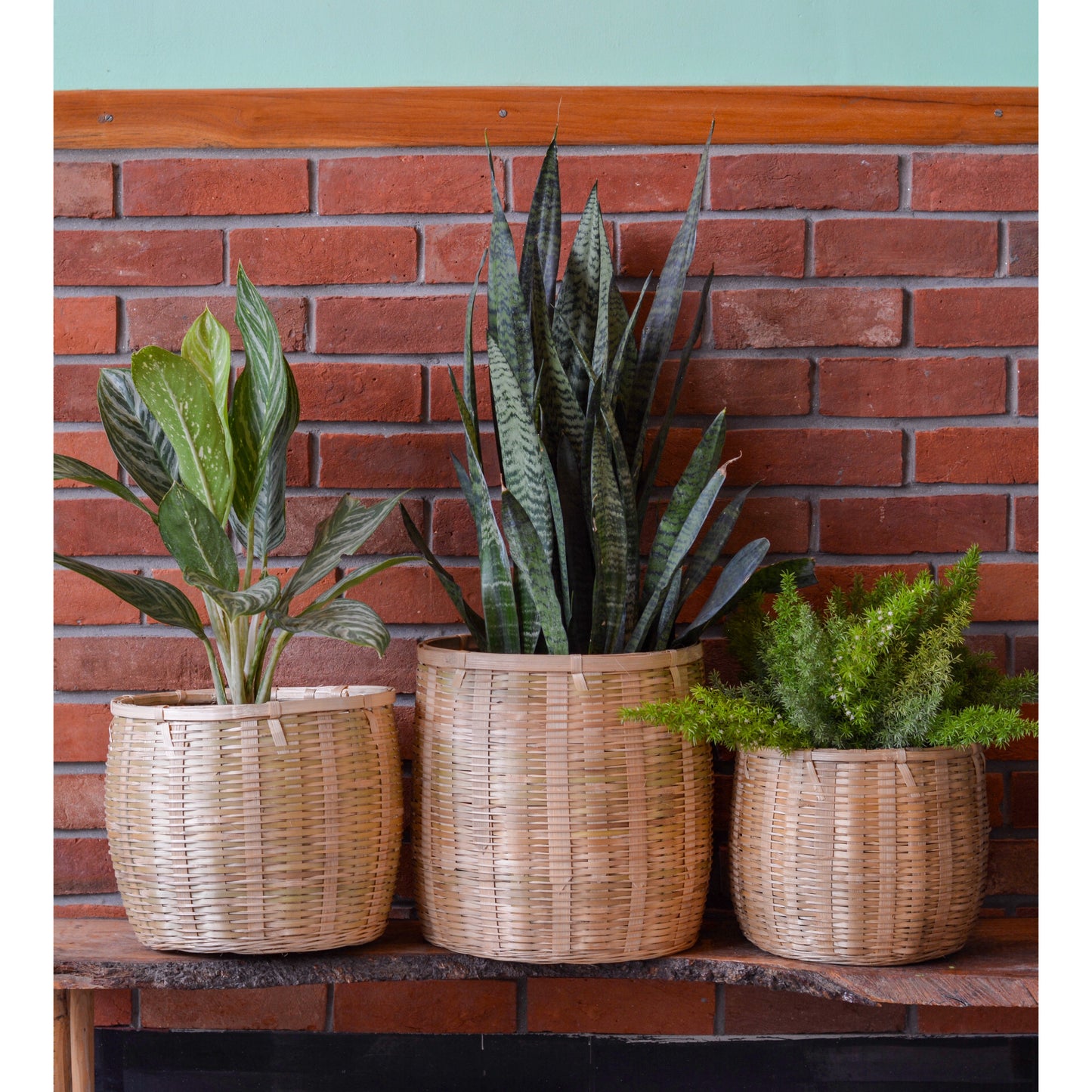 Indoor & Outdoor Bamboo Planter Basket (Combo Pack of 3)