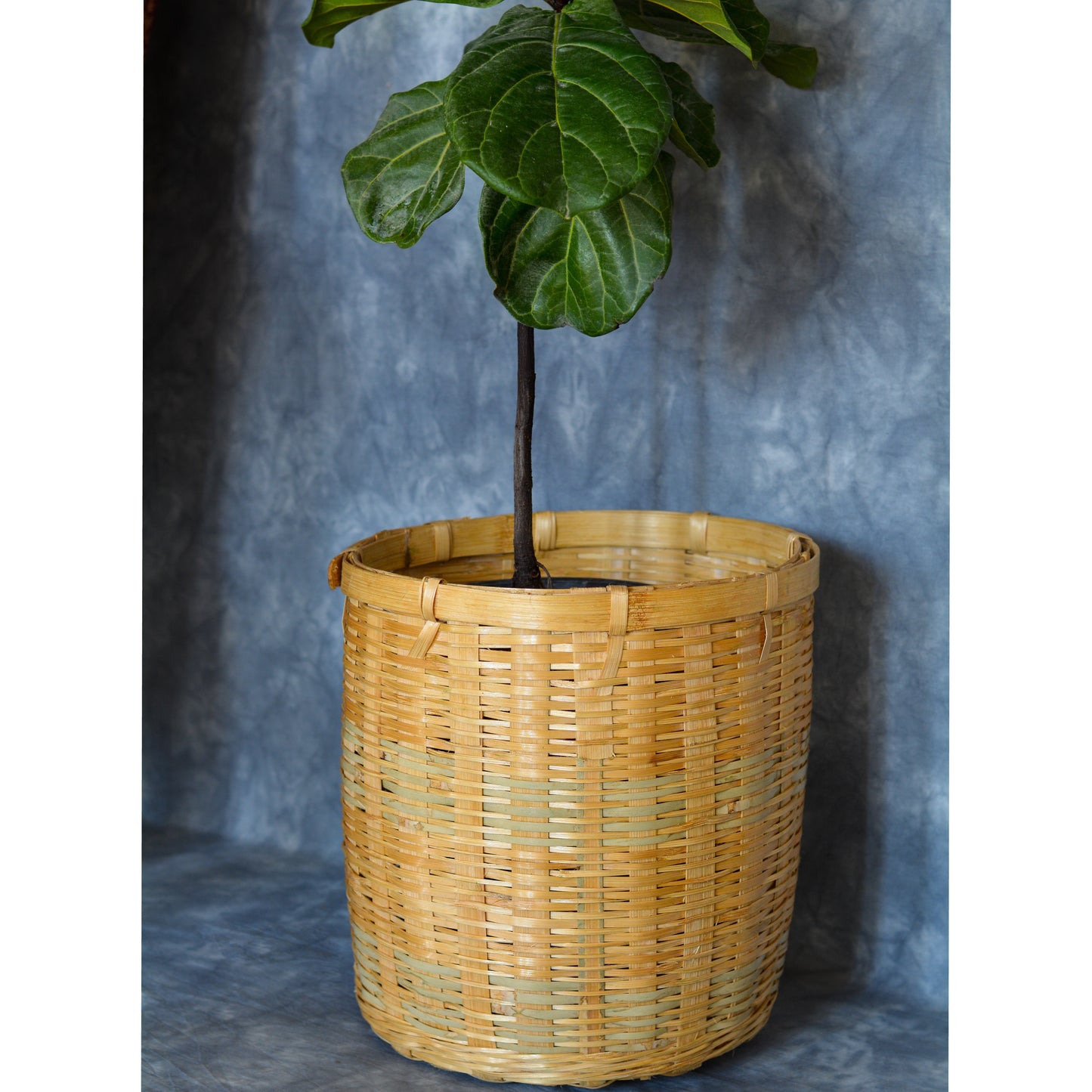 Handwoven Bamboo Planter