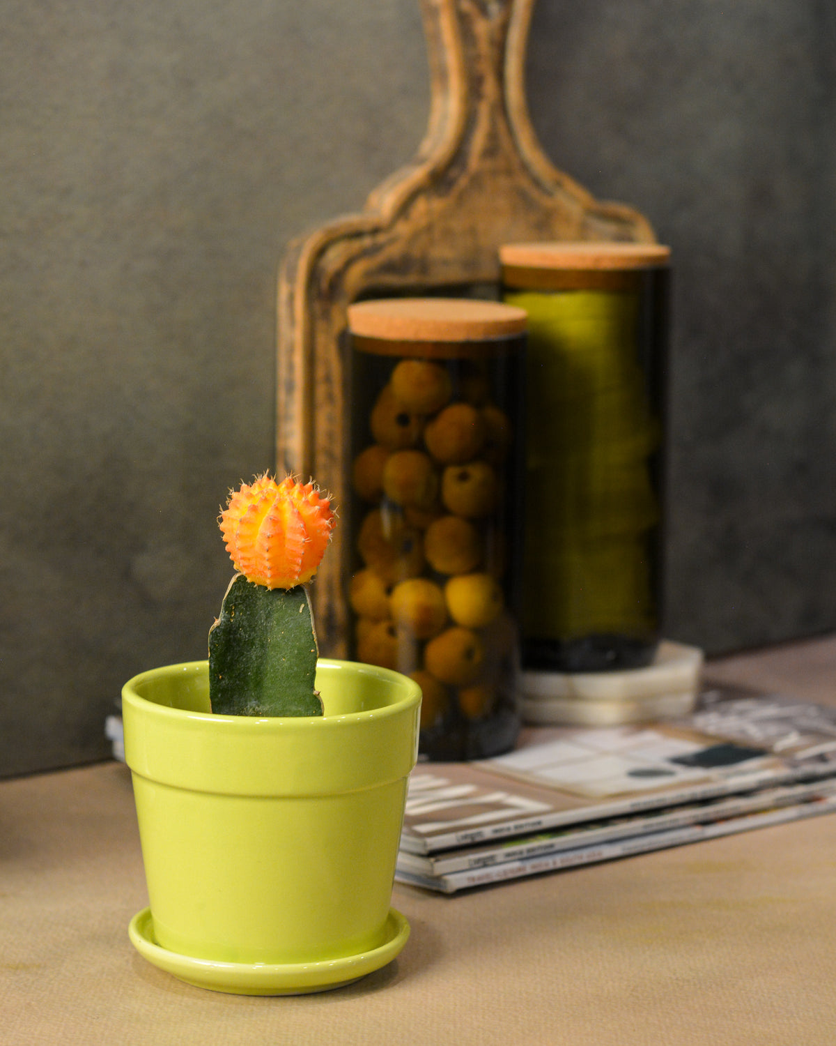 Glossy Finish Succulent Small Planter with Saucer, 3 inch Lime Green