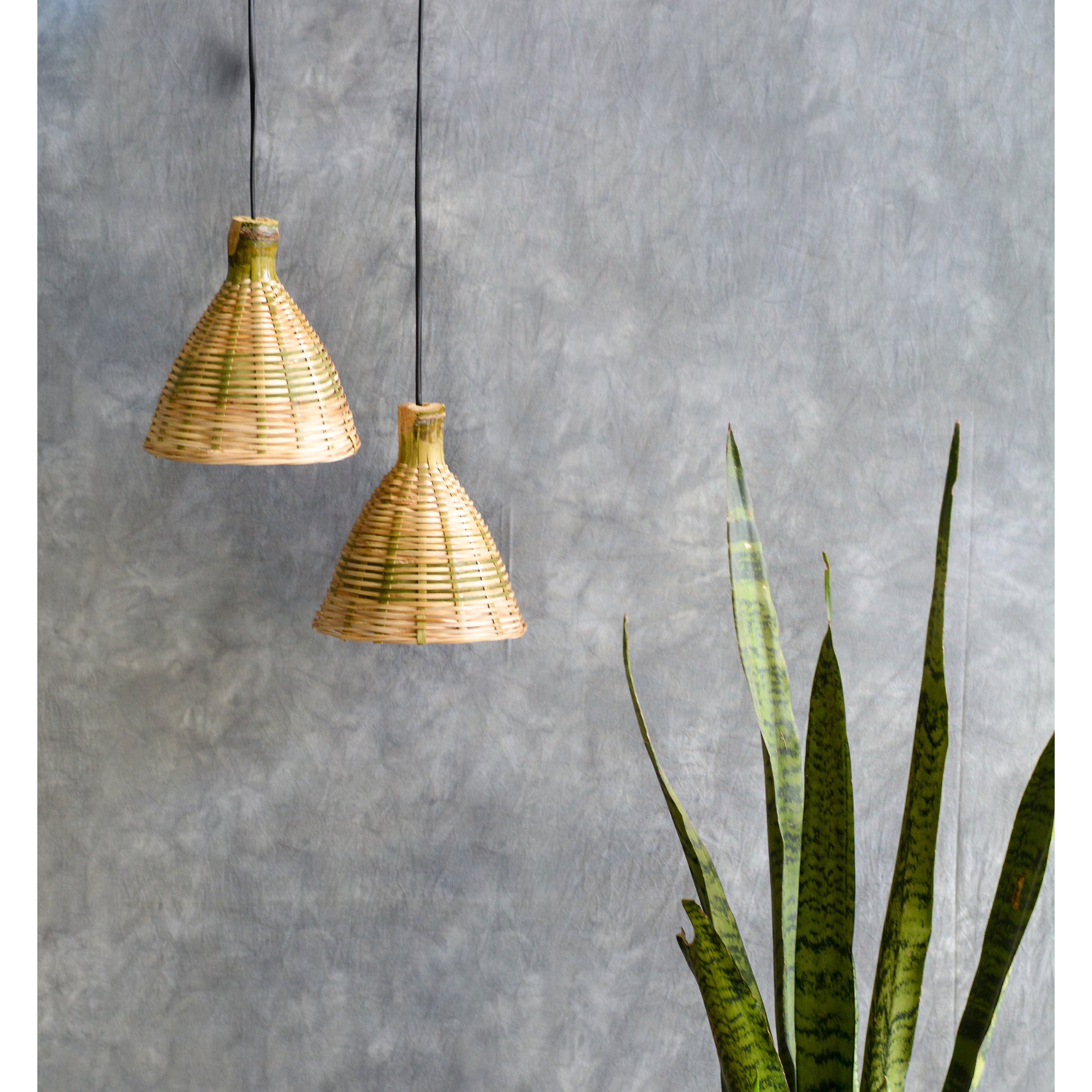 Small Conical Hanging Bamboo Lamp (Set of 2) – CreateYourTaste