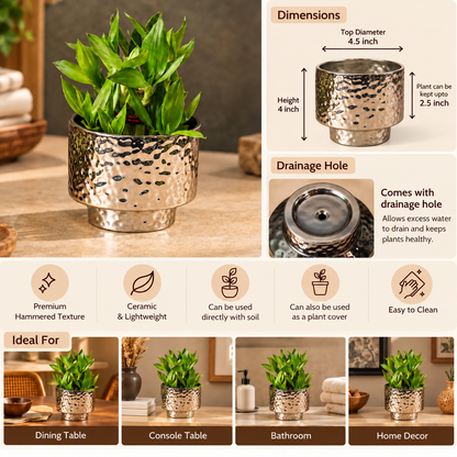Hammered Texture Ceramic Planter, 4.5 Inch | Decorative Indoor Plant Pot