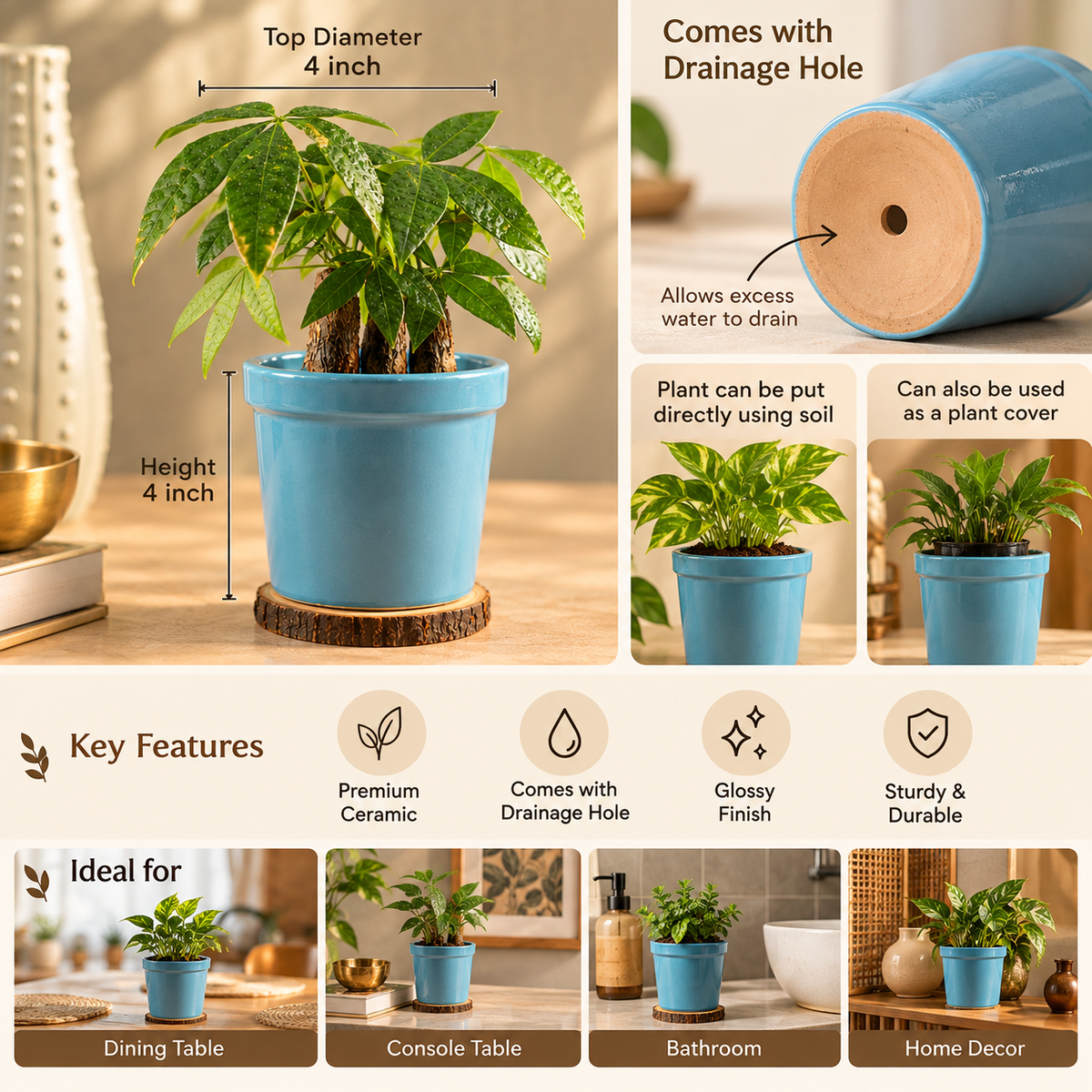 Glossy Texture Ceramic Planter, 4 Inch