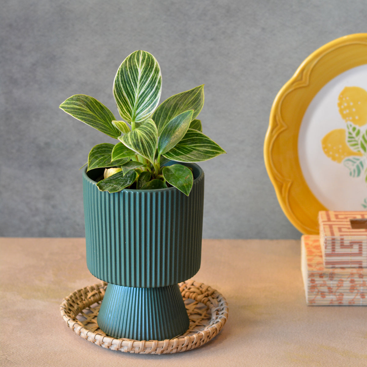 Ceramic Planter for Tabletop & Home Décor, 4 Inch, Teal