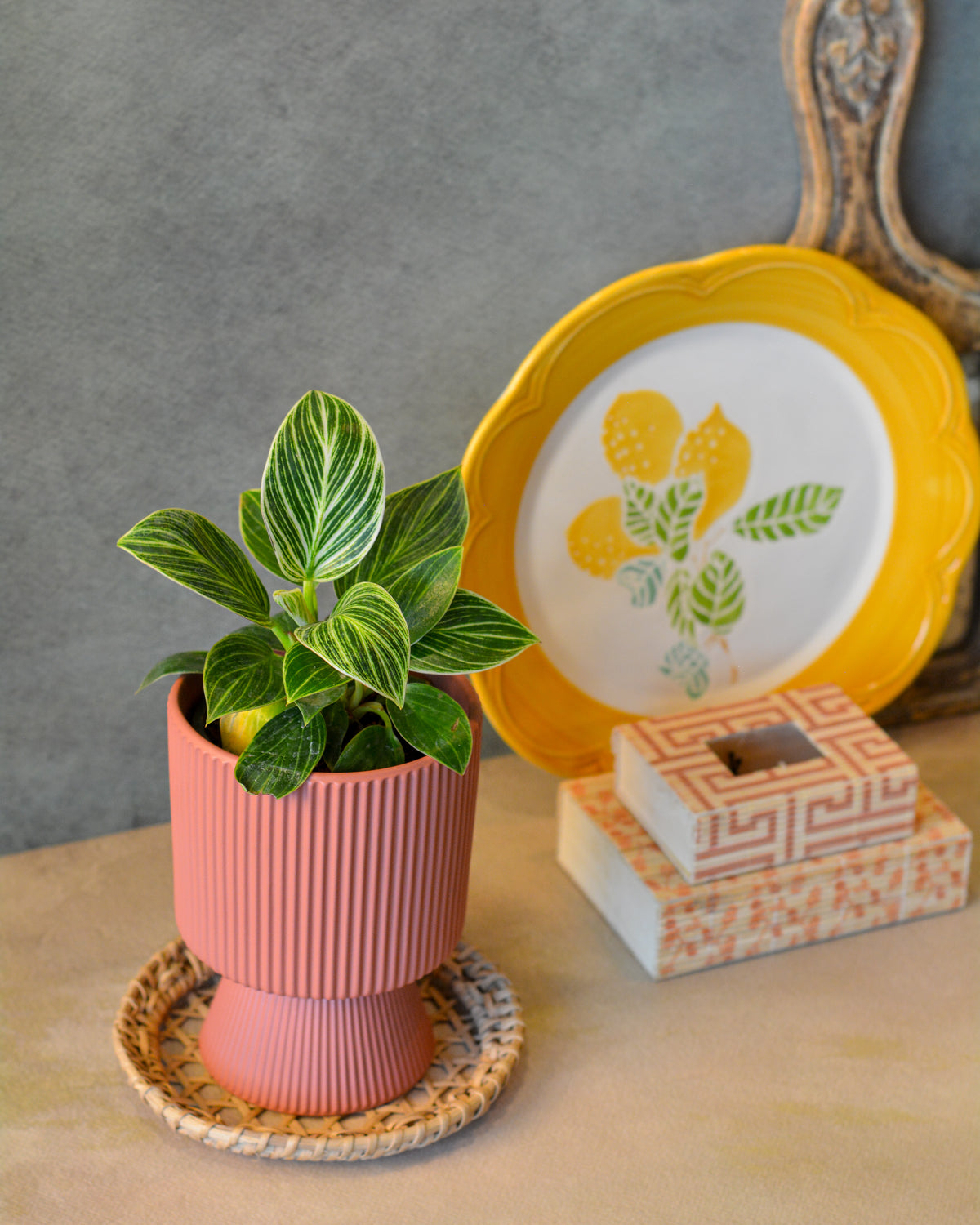 Ribbed Ceramic Planter, 4 Inch | Flower Pot for Indoor Plants with Drainage Hole, Peach