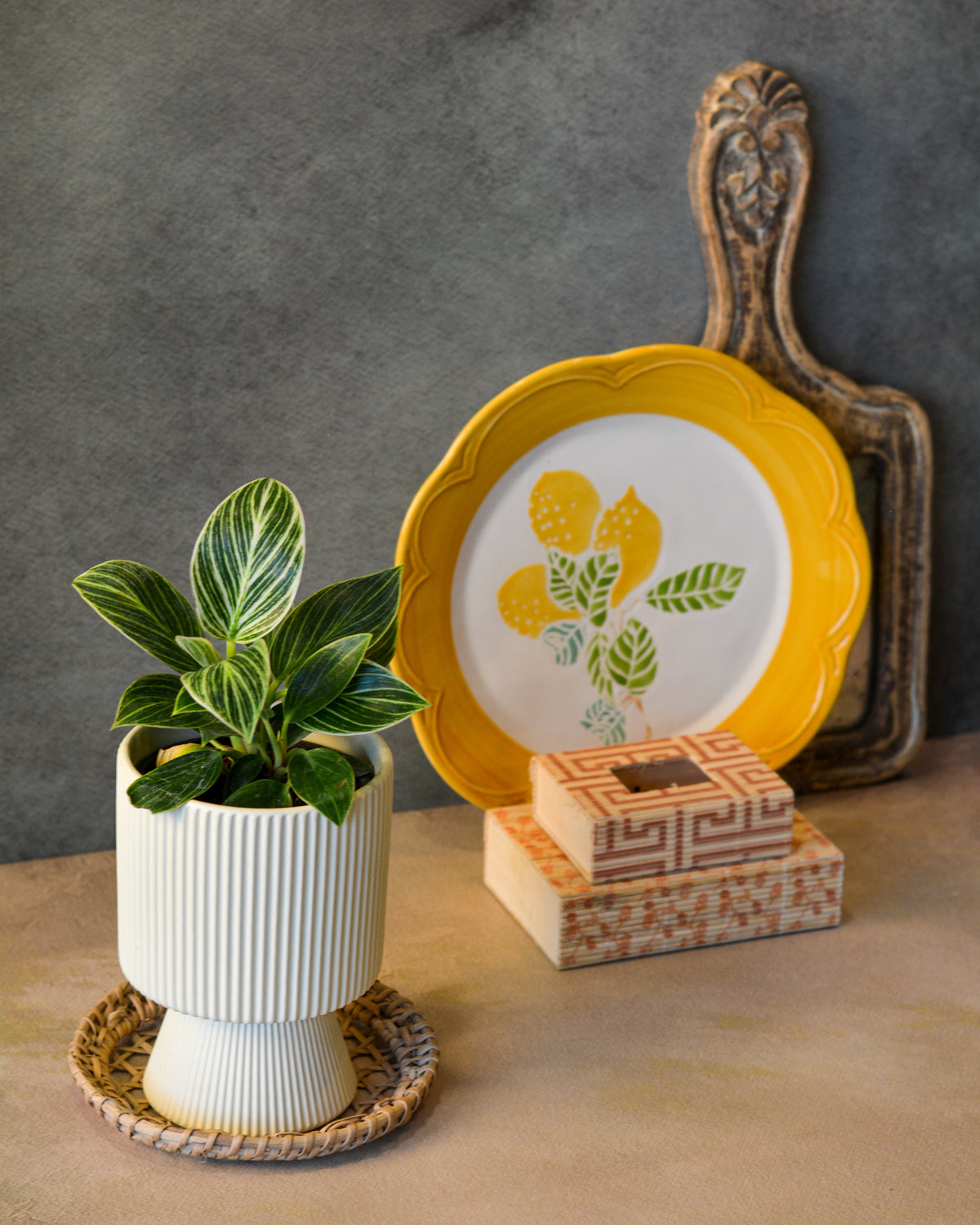 Ribbed Decorative Plant Pot for Home & Tabletop , Off -White