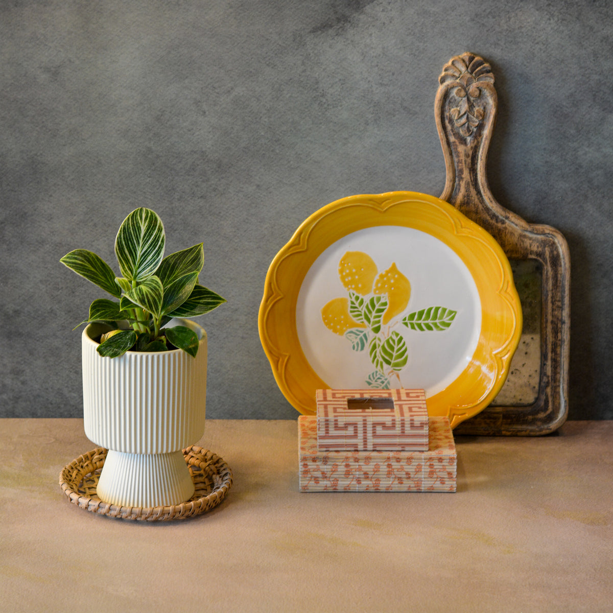 Ribbed Decorative Plant Pot for Home & Tabletop , Off -White