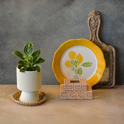 Ribbed Decorative Plant Pot for Home & Tabletop , Off -White