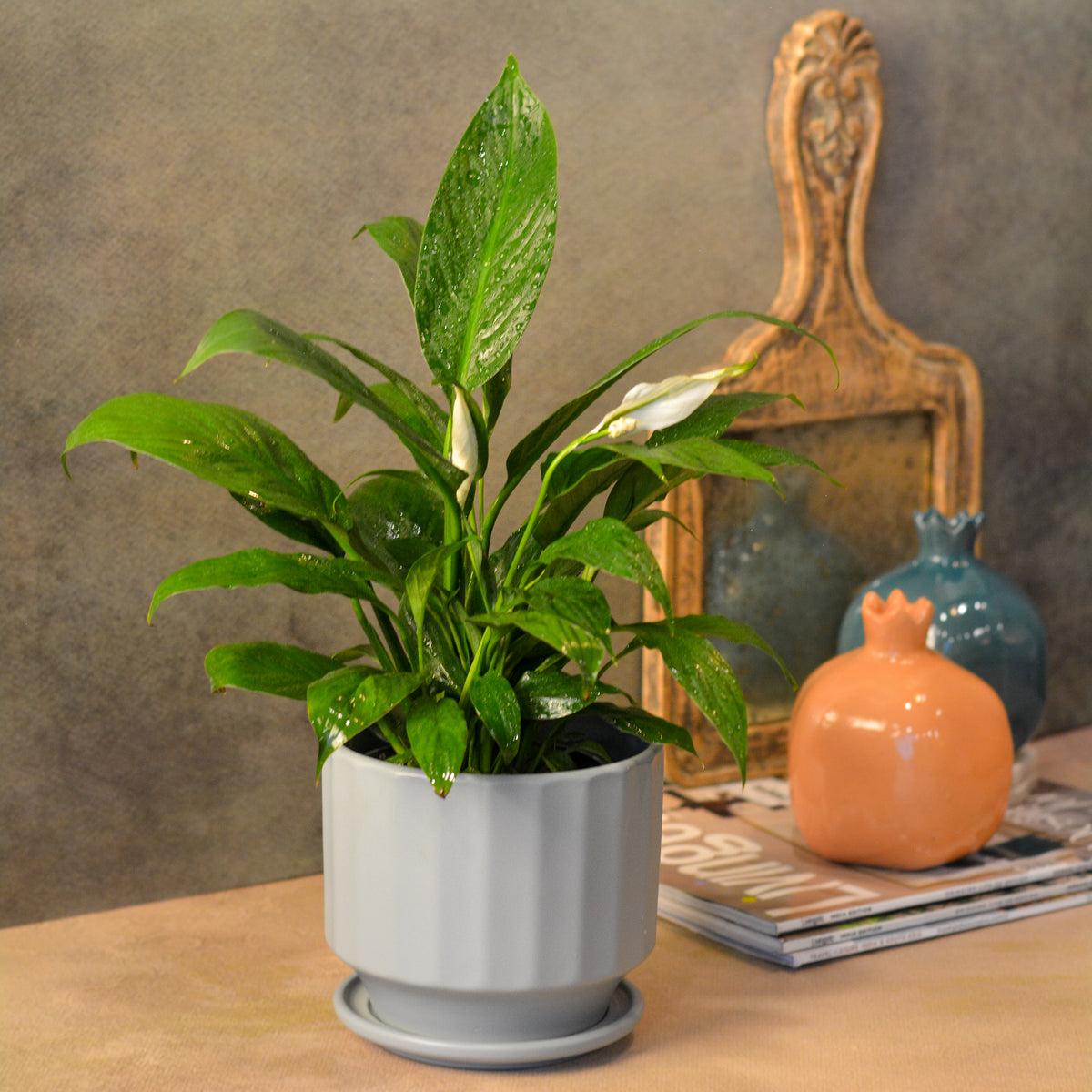 Fluted Ceramic Planter with saucer comes with a drainage hole, Grey