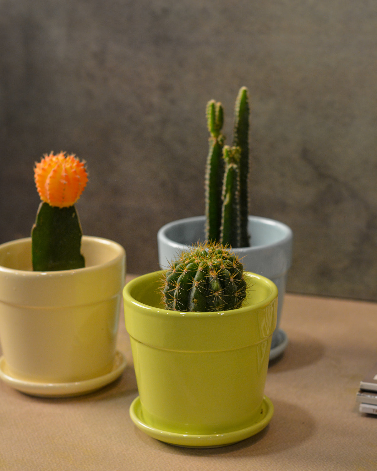 Glossy Finish Succulent Small Planter with Saucer set of 3, 3 inch