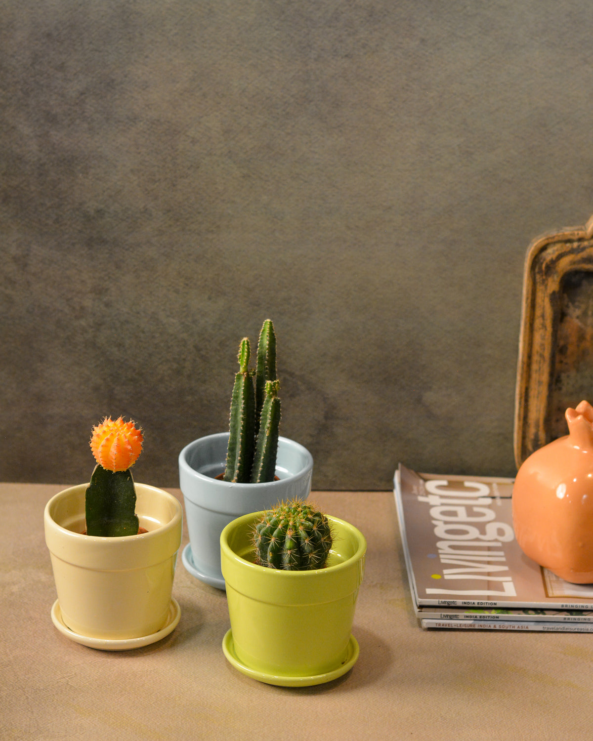 Glossy Finish Succulent Small Planter with Saucer set of 3, 3 inch