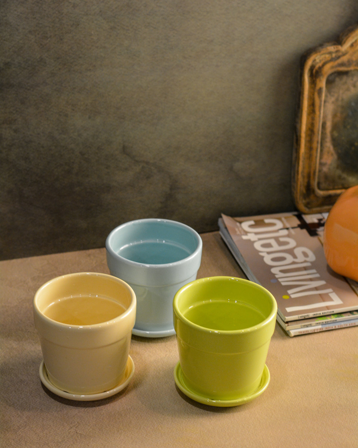 Glossy Finish Succulent Small Planter with Saucer set of 3, 3 inch