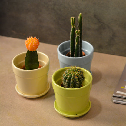 Glossy Finish Succulent Small Planter with Saucer set of 3, 3 inch