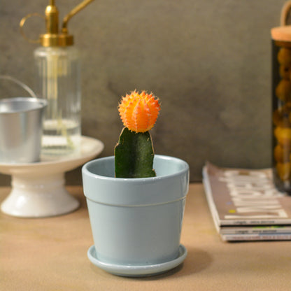 Glossy Finish Succulent Small Planter with Saucer, 3 Powder Blue