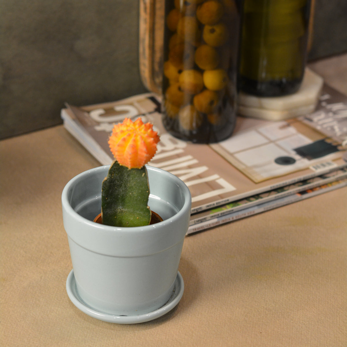 Glossy Finish Succulent Small Planter with Saucer, 3 Powder Blue