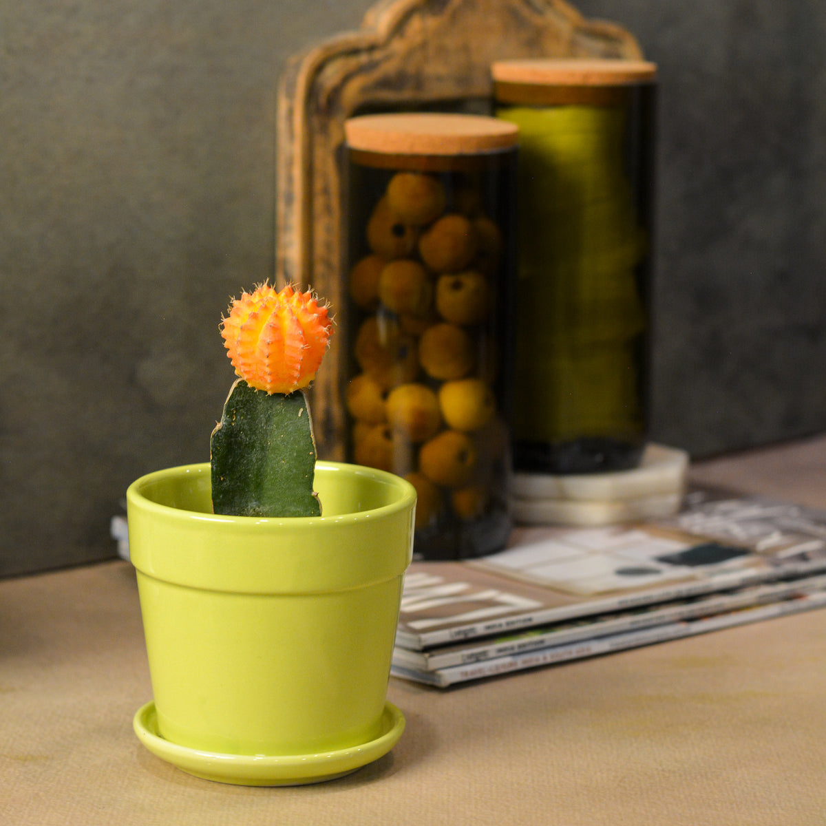Glossy Finish Succulent Small Planter with Saucer, 3 inch Lime Green