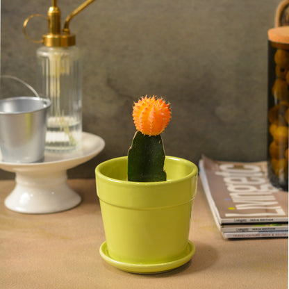 Glossy Finish Succulent Small Planter with Saucer, 3 inch Lime Green