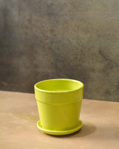 Glossy Finish Succulent Small Planter with Saucer, 3 inch Lime Green