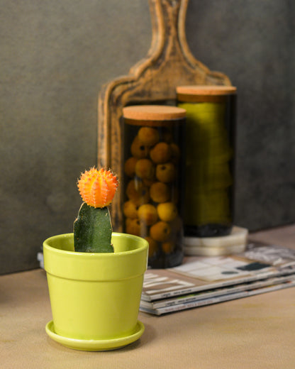 Glossy Finish Succulent Small Planter with Saucer, 3 inch Lime Green