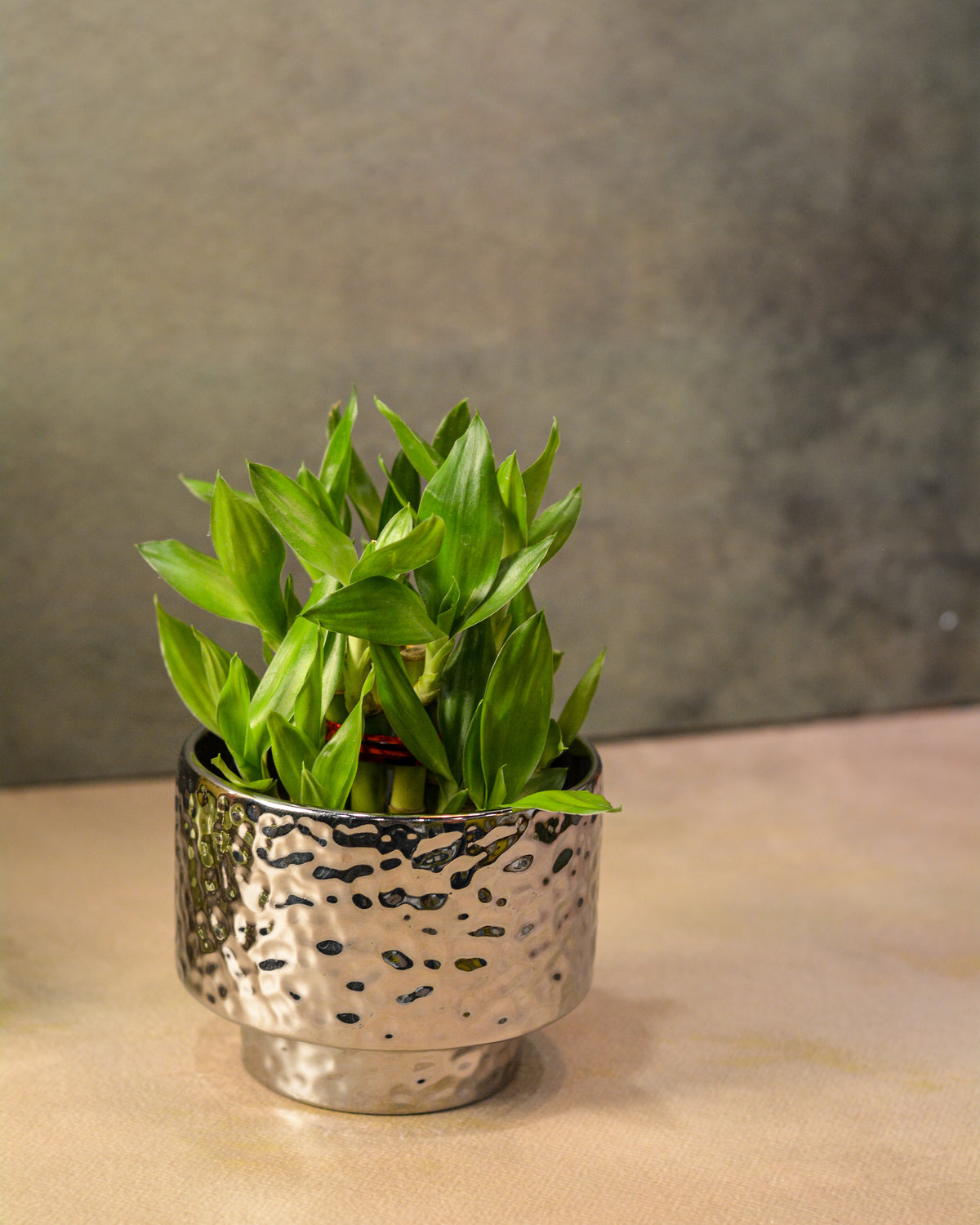 Hammered Texture Ceramic Planter, 4.5 Inch | Decorative Indoor Plant Pot