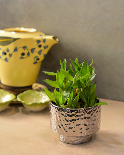 Hammered Texture Ceramic Planter, 4.5 Inch | Decorative Indoor Plant Pot