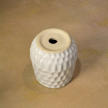 Dimpled Ceramic Texture | Small Decorative Indoor Plant