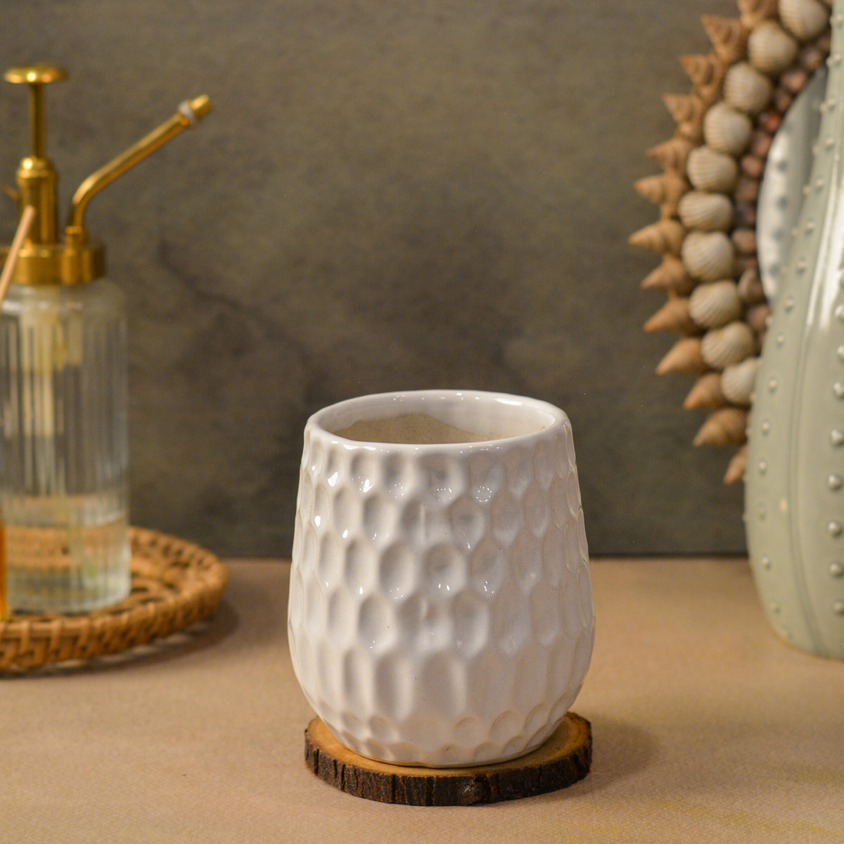 Dimpled Ceramic Texture | Small Decorative Indoor Plant