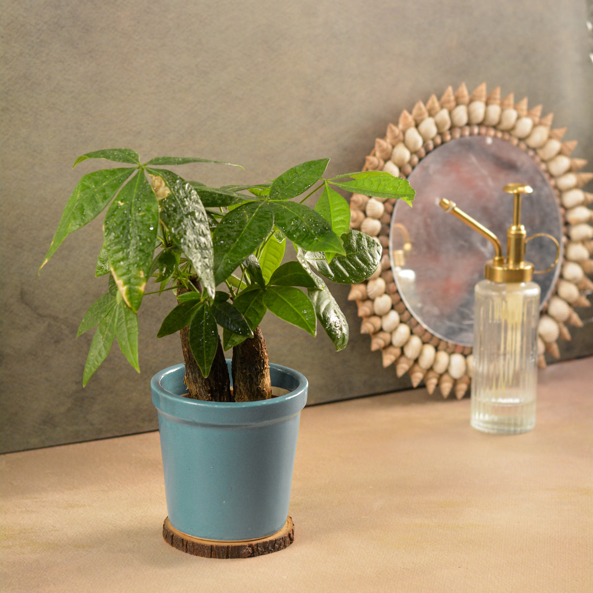 Glossy Texture Ceramic Planter, 4 Inch