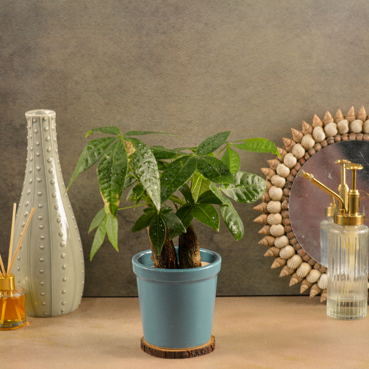 Glossy Texture Ceramic Planter, 4 Inch