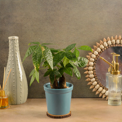 Glossy Texture Ceramic Planter, 4 Inch