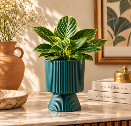 Ceramic Planter for Tabletop & Home Décor, 4 Inch, Teal