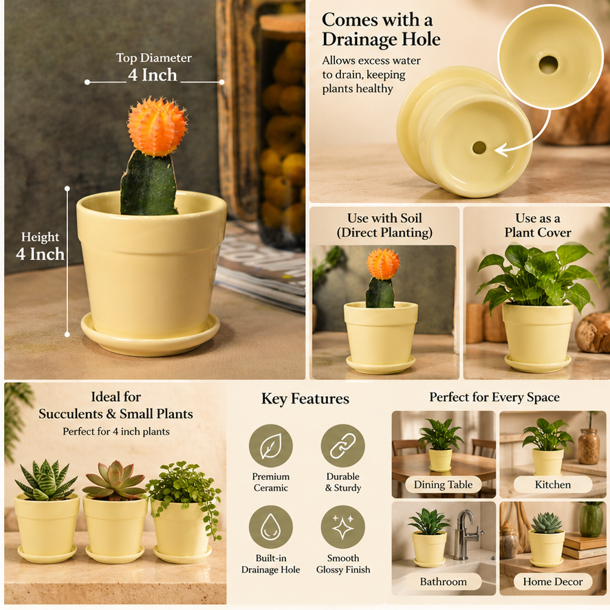Glossy Finish Succulent Small Planter with Saucer, 3 inch Cream