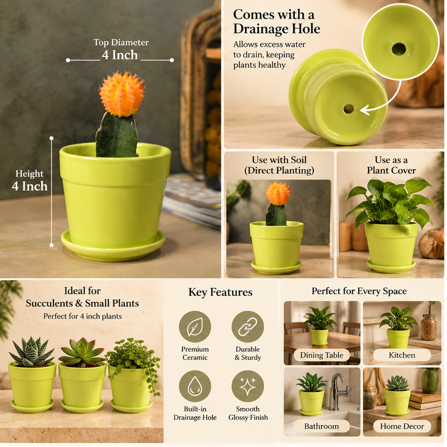 Glossy Finish Succulent Small Planter with Saucer, 3 inch Lime Green