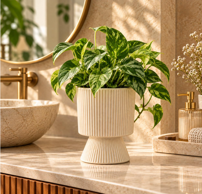 Ribbed Decorative Plant Pot for Home & Tabletop , Off -White