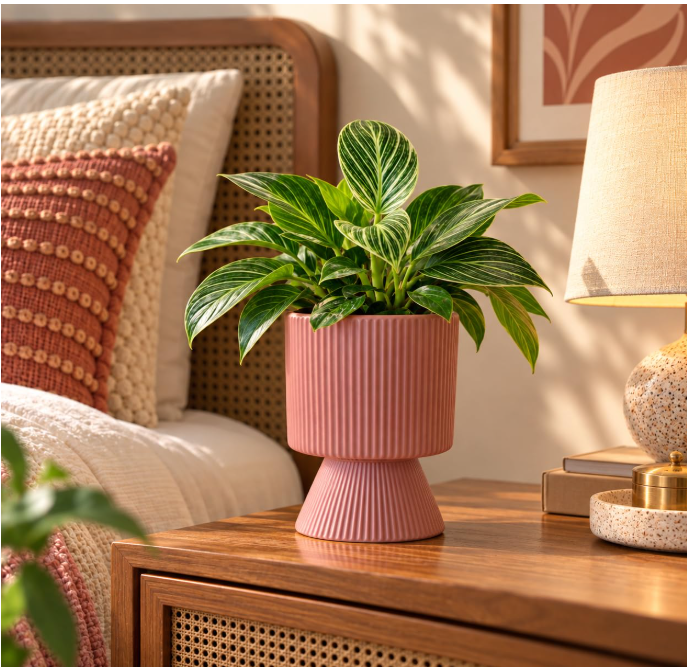 Ribbed Ceramic Planter, 4 Inch | Flower Pot for Indoor Plants with Drainage Hole, Peach